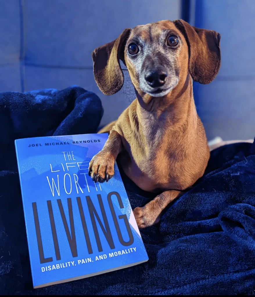 A picture of Schnerp, the most adorable miniature dachshund in the world, sitting on a couch with his hand on the book "The Life Worth Living: Disability, Pain, and Morality by Joel Michael Reynolds." Schnerp is a short-haired brownish-red puppy with gray hairs on his snout showing his age. The rest of the image involves bright blues matching the blue of the book cover.